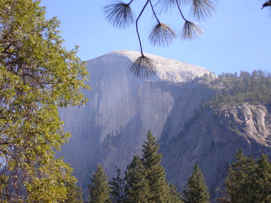 Yosmite National Park