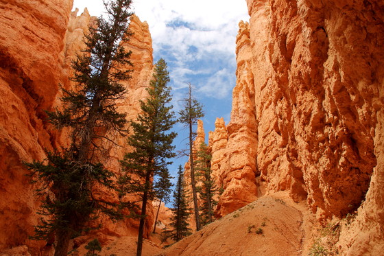 Bryce Canyon National Park