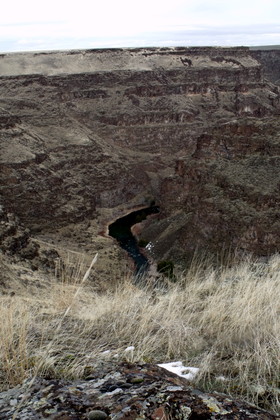 bruneau canyon
