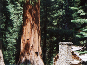 Yosemite National Park