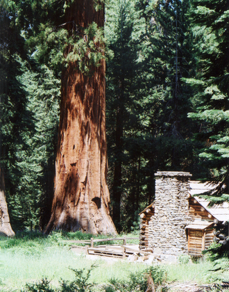 Yosemite National Park