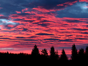 Sunrise in the Cypress Hills