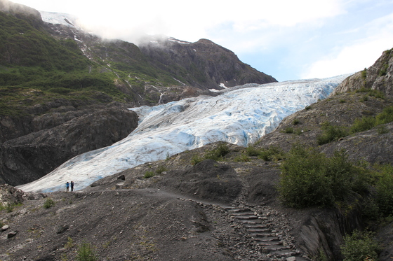 Kenai Fjords