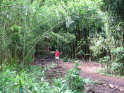 Haleakala National Park