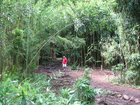 Haleakala National Park