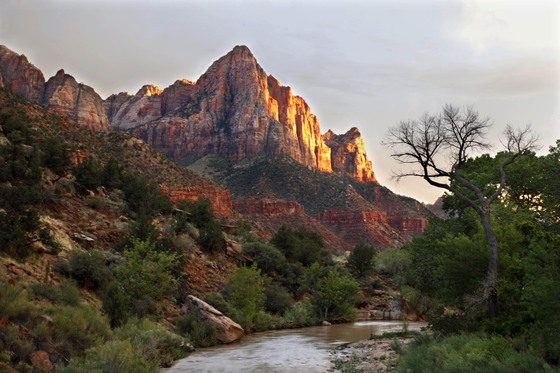 Zion National Park