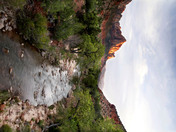 Zion National Park