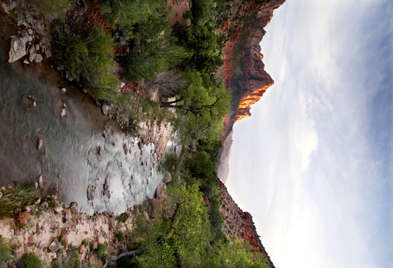 Zion National Park