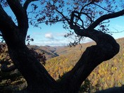Blue Ridge Parkway - North Carolina