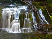 Gifford Pinchot National Forest