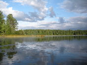 Chequamegon-Nicolet National Forest (Bass Lake)