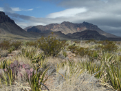 Big Bend National Park