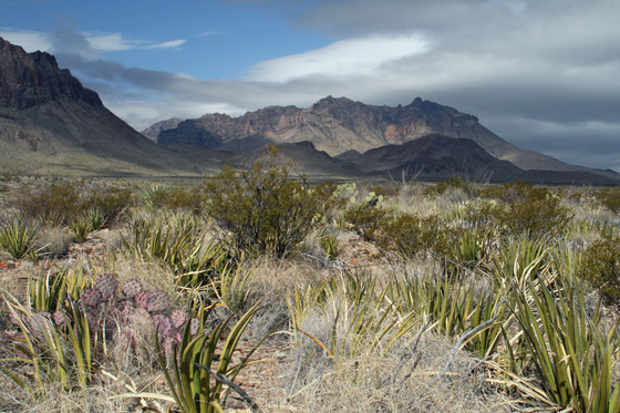 Big Bend National Park