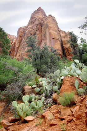 Zion National Park