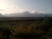 Mt. McKinley National Park