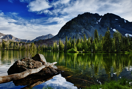 Challis National Forest