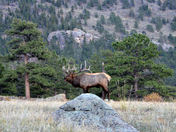 Rocky Mountain National Park