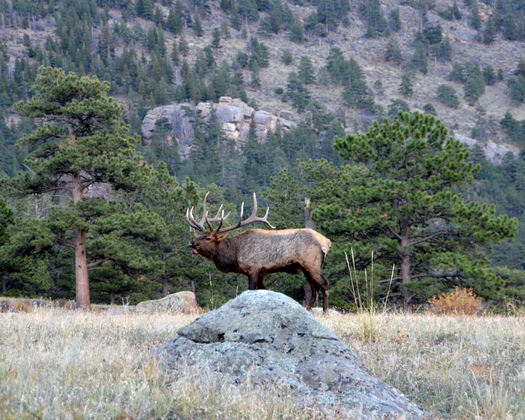 Rocky Mountain National Park