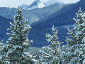 Gallatin National Forest