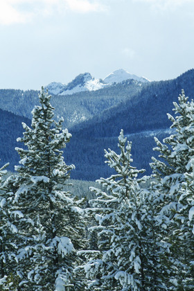 Gallatin National Forest