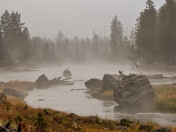 Yellowstone National Park