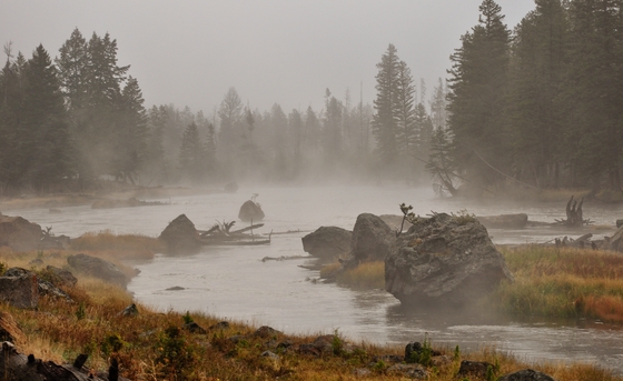 Yellowstone National Park