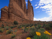 Arches National Park