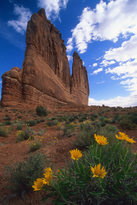 Arches National Park