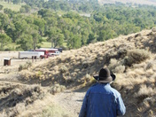 Shoshoni National Forest
