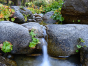 Eldorado National Forrest