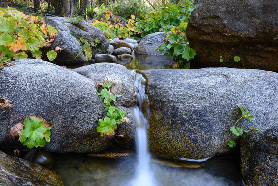 Eldorado National Forrest