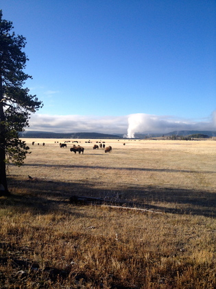 Yellowstone national Park