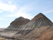 Petrified Forest