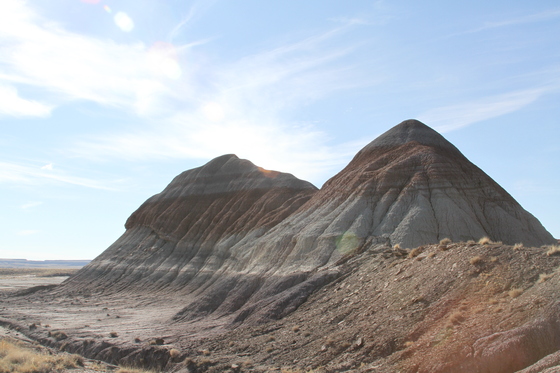 Petrified Forest