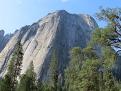 Yosemite National Park