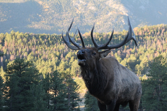 Rocky Mountain National Park