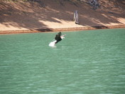 iron canyon northern ca