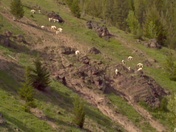 Glacier National Park