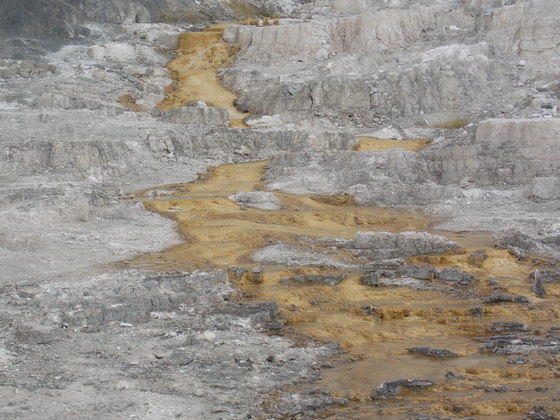 Yellowstone National Park 