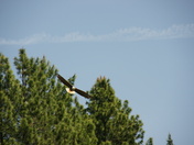 iron canyon northern Ca
