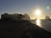 Olympic National Park