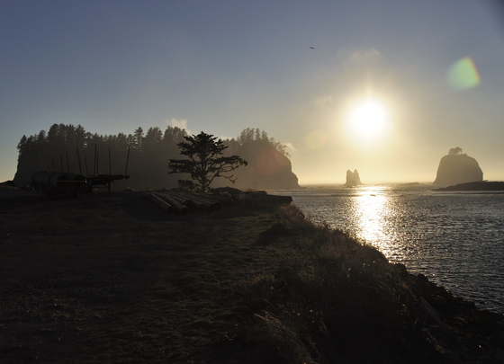 Olympic National Park