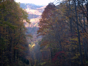 Great Smoky Mountain National Park