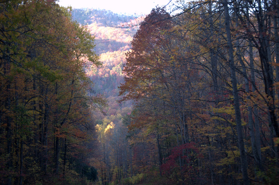Great Smoky Mountain National Park