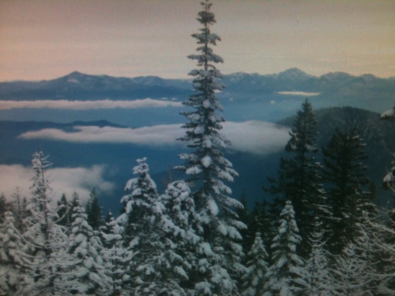 8 dollar mountian
