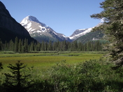 Glacier National Park 