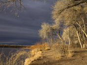 Rio Grande Recreation Area
