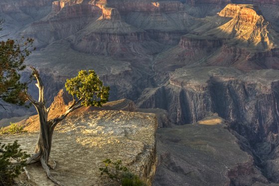 Grand Canyon National Park