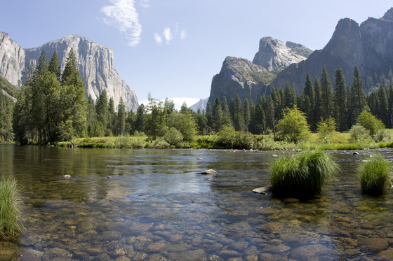 Yosemite National Park