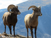 Rocky Mountain National Park
